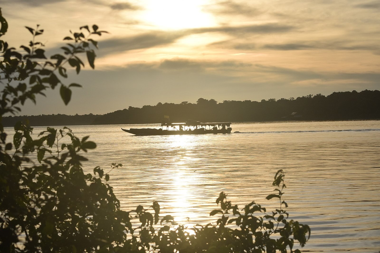 Atardecer sobre el río Inírida con una lancha a lo lejos y vegetación en primer plano